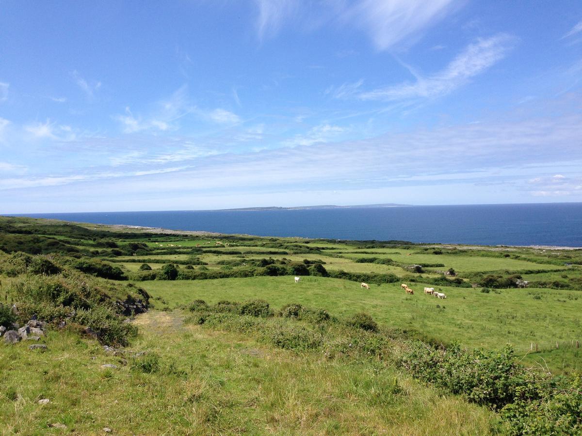 Wild Atlantic Breeze Guesthouse Doolin Eksteriør bilde